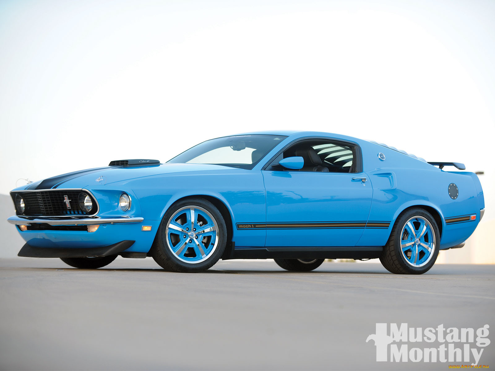 , mustang
